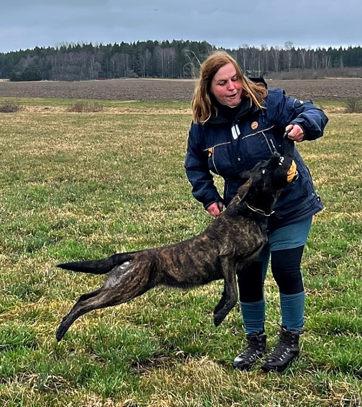 Hiit-hunderi instruktør
